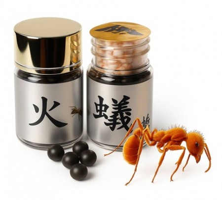 불개미환 2통 200환